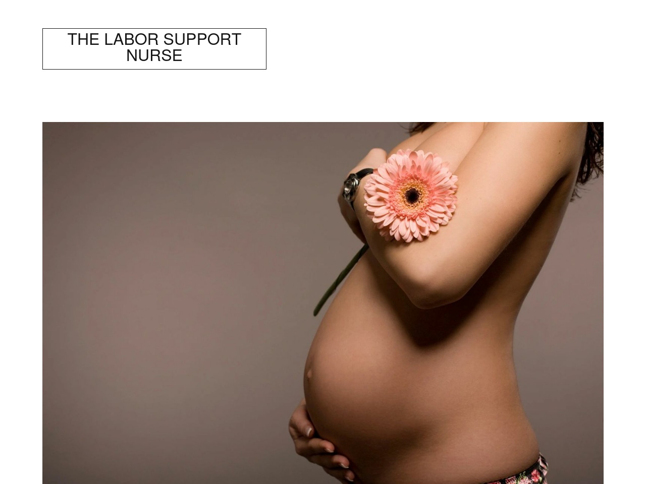 thelaborsupportnurse.com screenshot alt-text