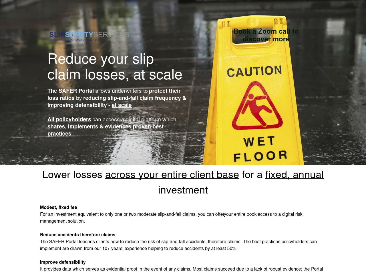 thesaferportal.com screenshot alt-text