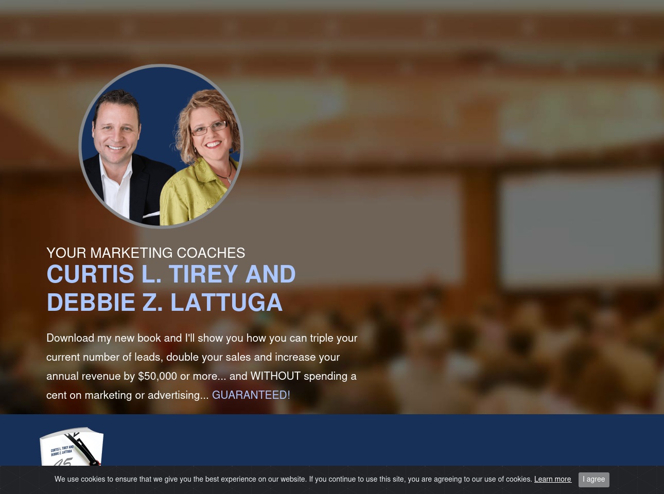 thesalesteamcoachacademy.com screenshot alt-text