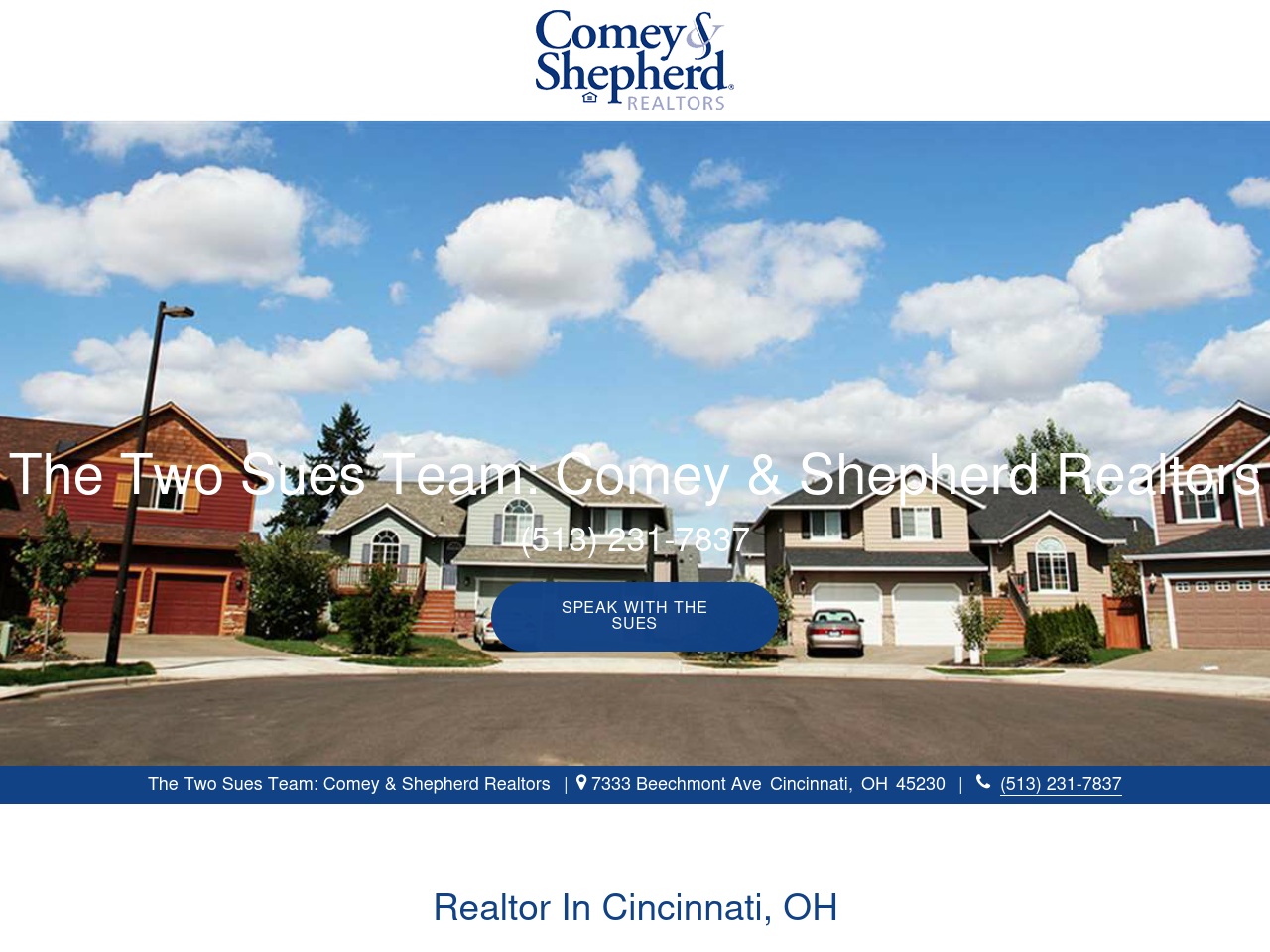 thetwosuesteamcincinnati.com screenshot alt-text