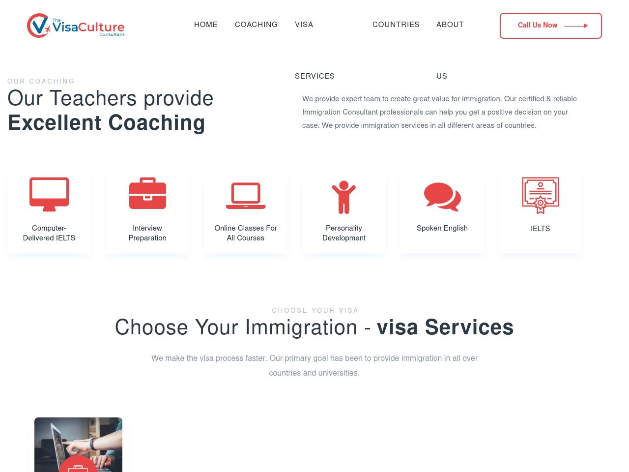thevisaculture.com screenshot alt-text