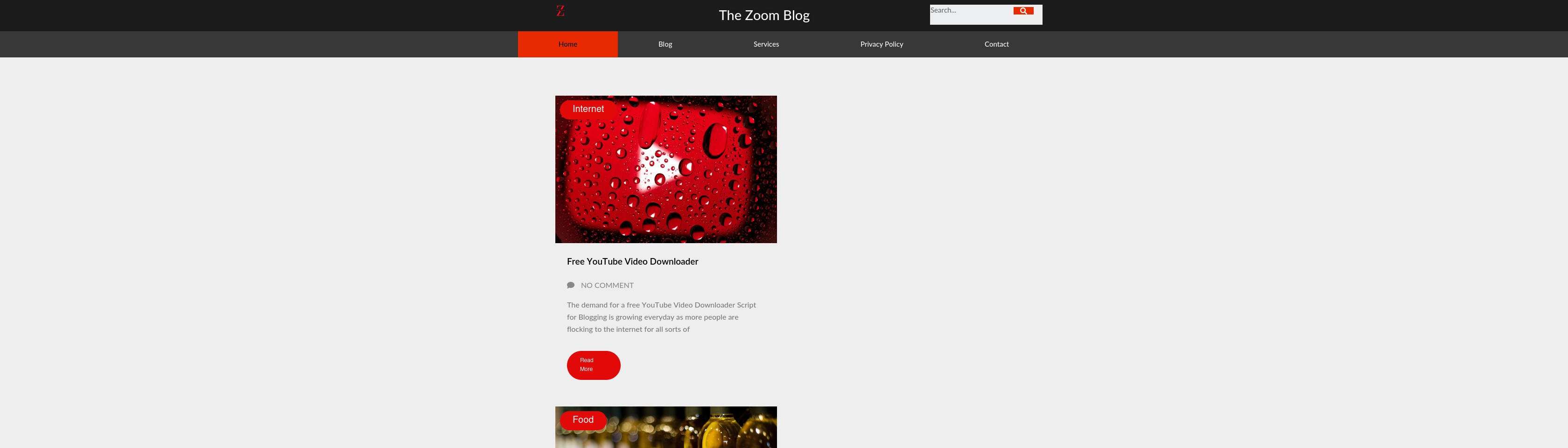 thezoomblog.com screenshot alt-text