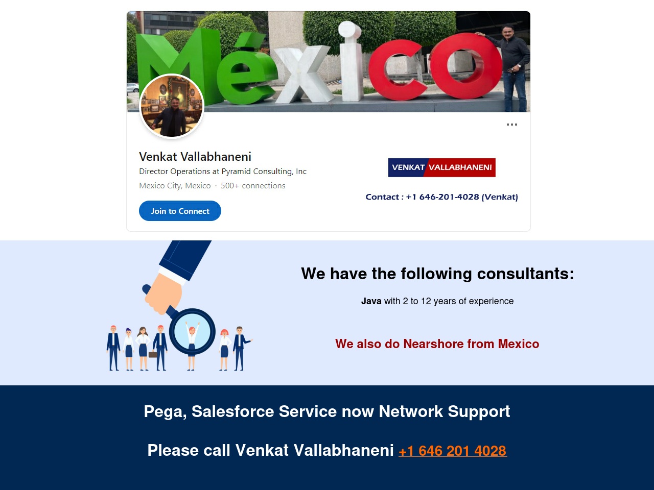 tnvisa.net screenshot alt-text