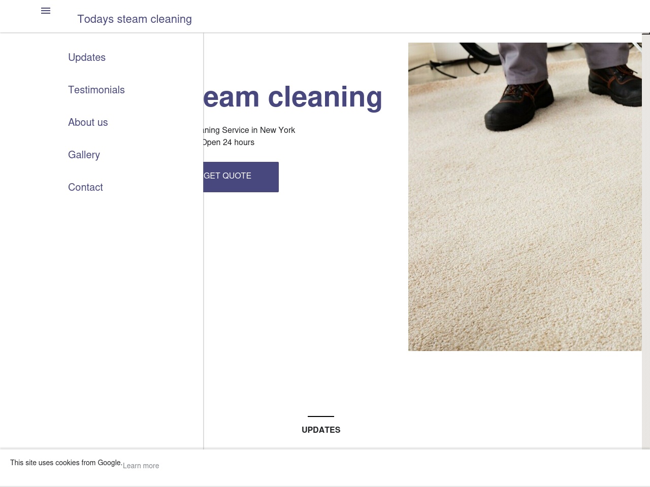 todayssteamcleaning.com screenshot alt-text