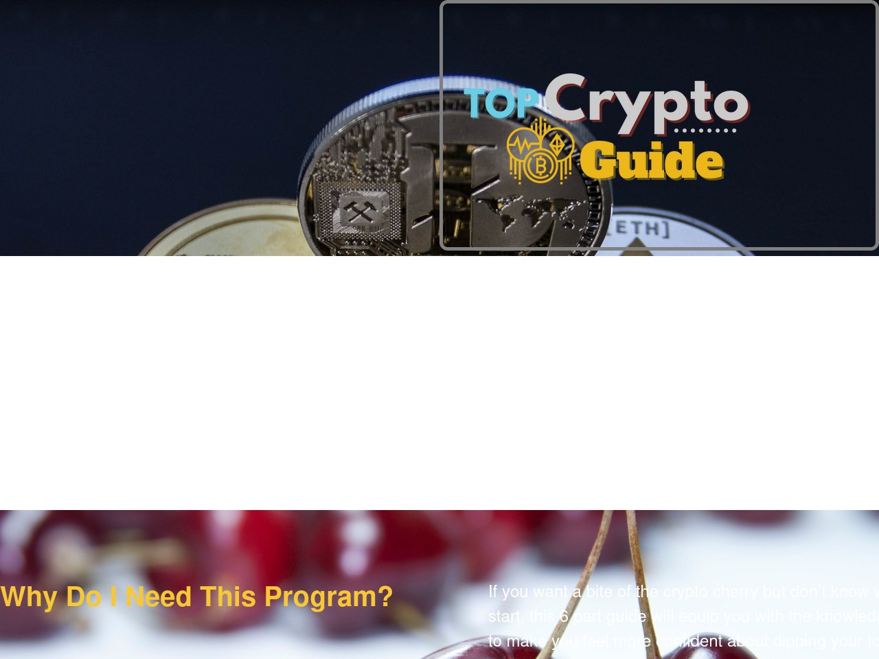 topcryptoguide.com screenshot alt-text