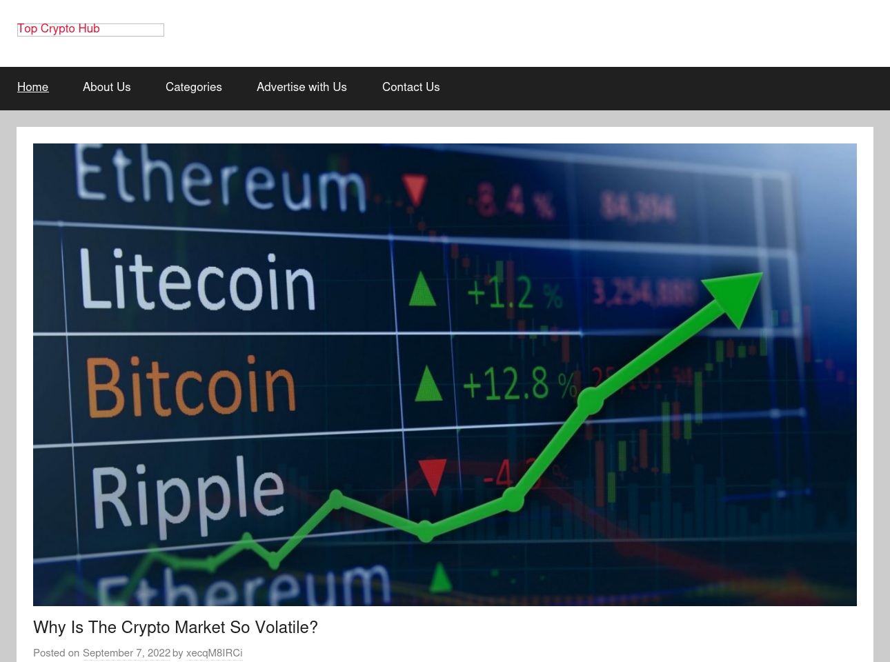 topcryptohub.com screenshot alt-text