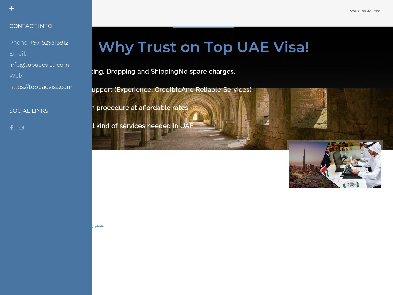 topuaevisa.com screenshot alt-text