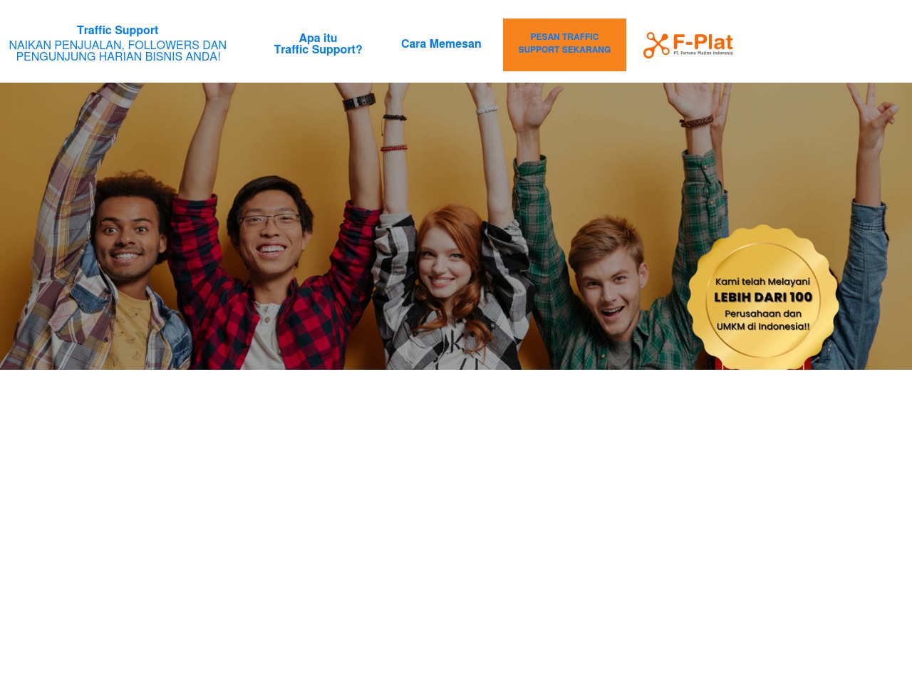 traffic-support.com screenshot alt-text