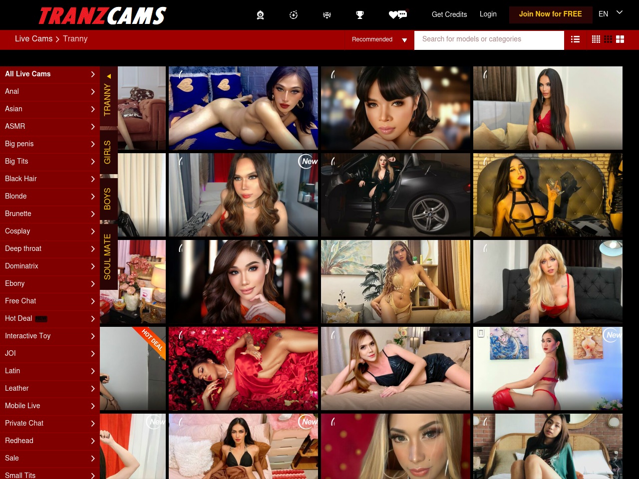 tranzcams.com screenshot alt-text