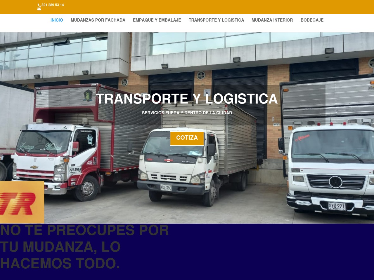 trmudanzas.com screenshot alt-text