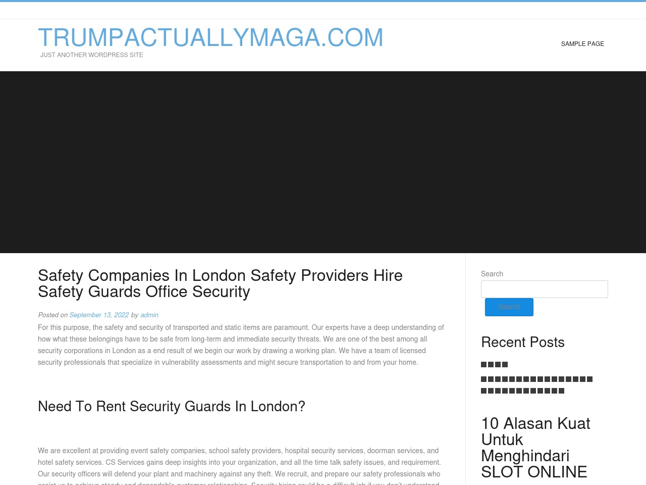 trumpactuallymaga.com screenshot alt-text