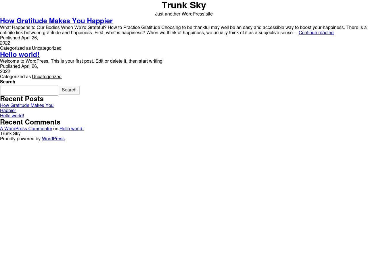 trunksky.com screenshot alt-text