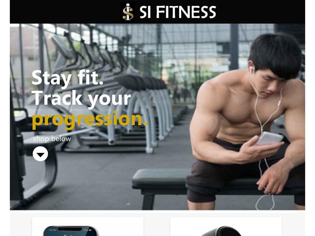 trysteamshop.com screenshot alt-text
