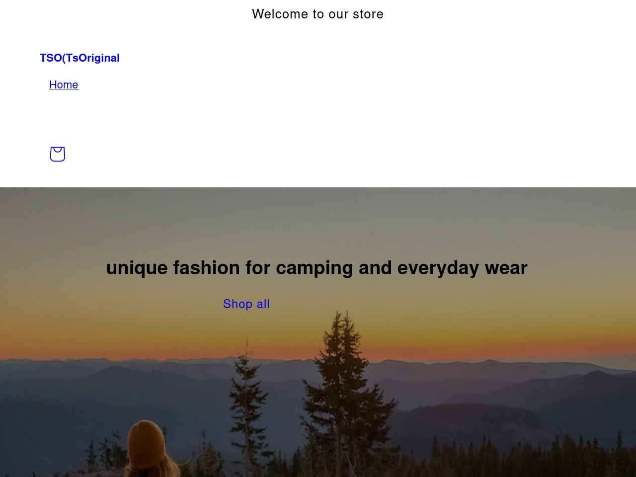 tsosupport.online screenshot alt-text