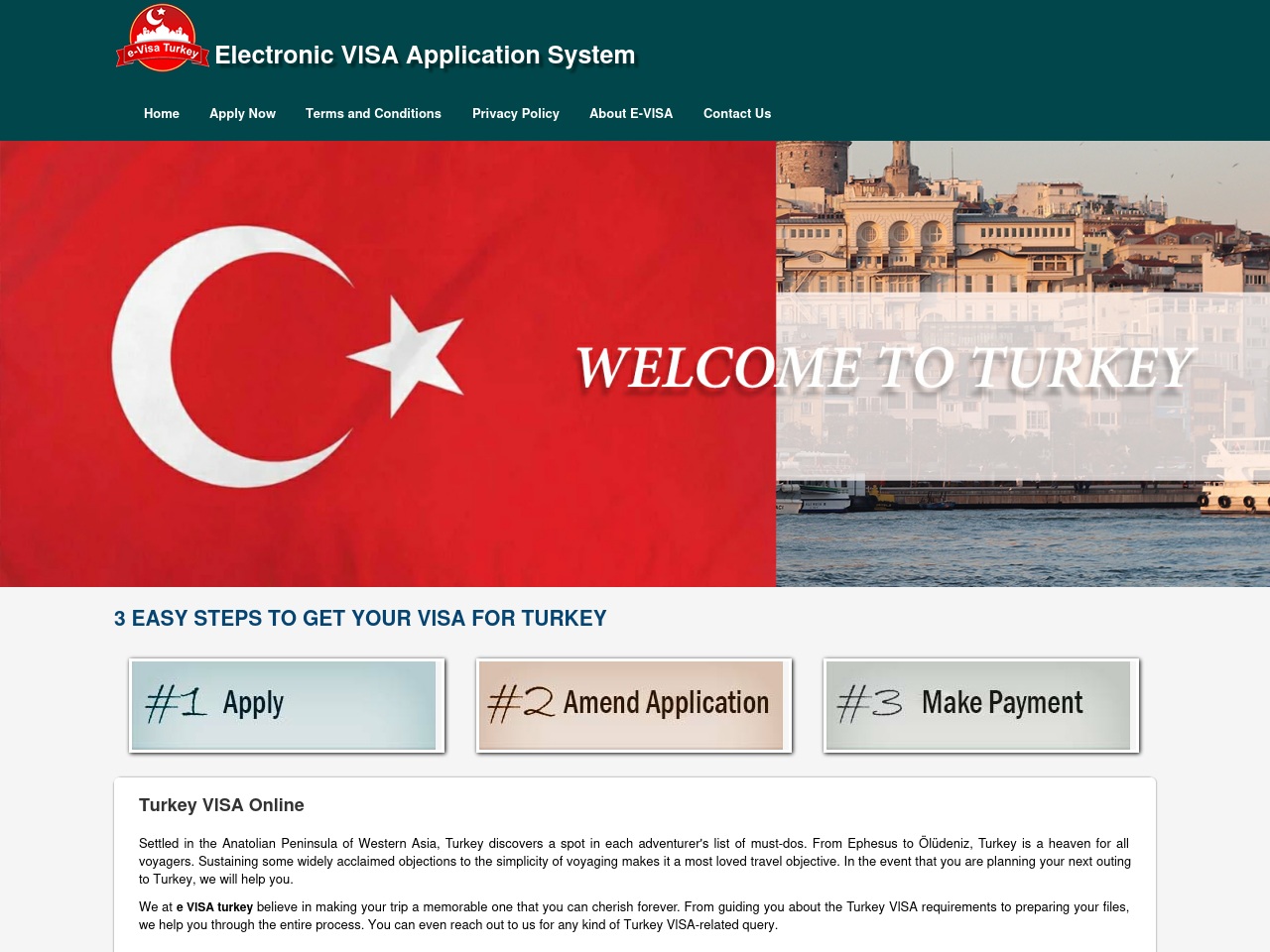 turkeyevisaonline.com screenshot alt-text
