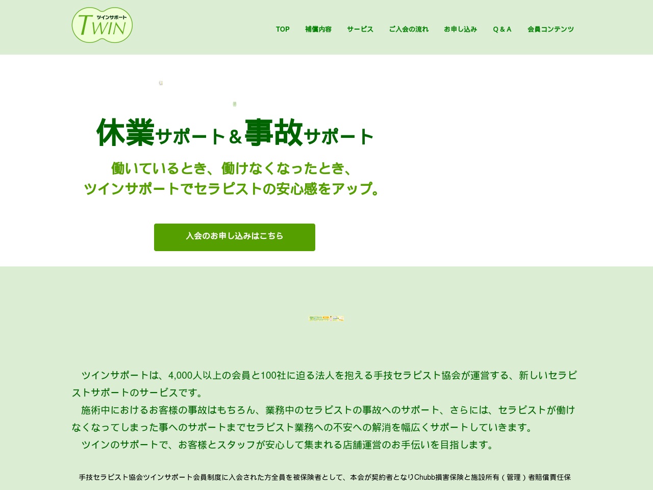 twin-support.com screenshot alt-text