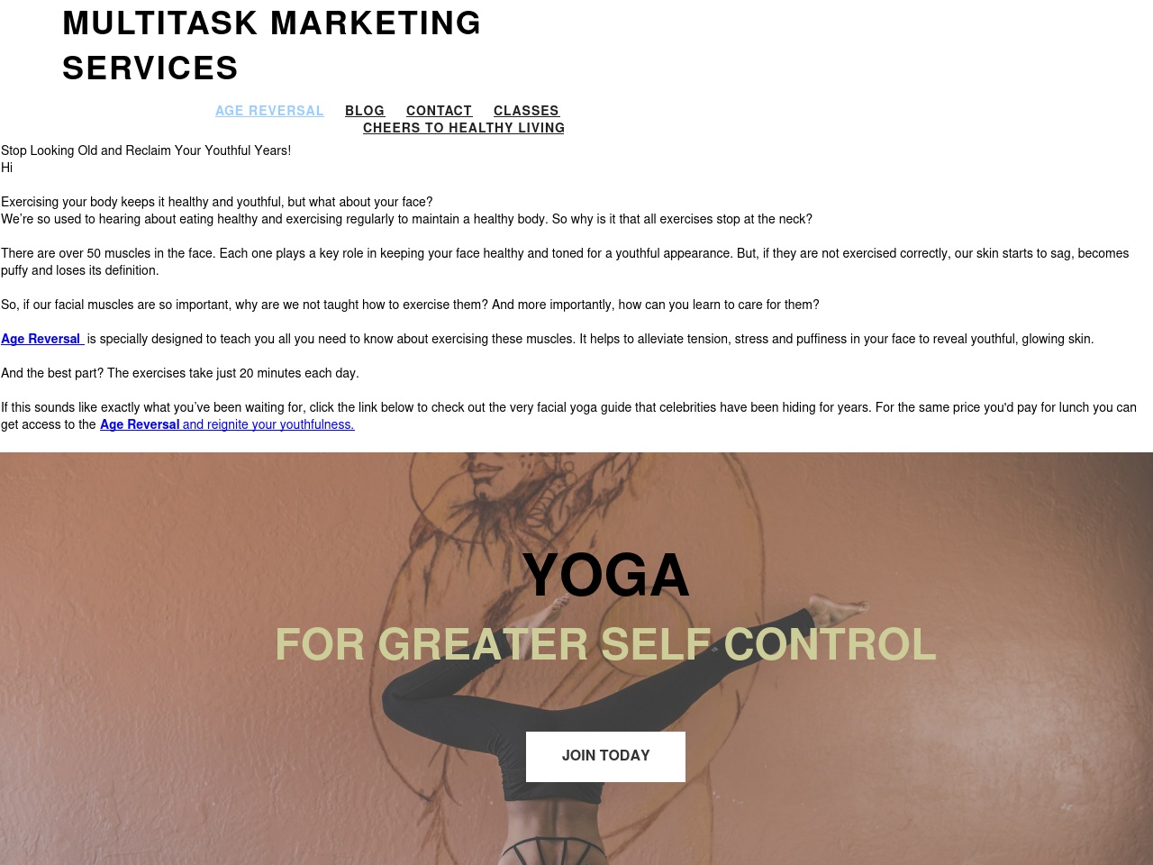 twittermyrss.com screenshot alt-text