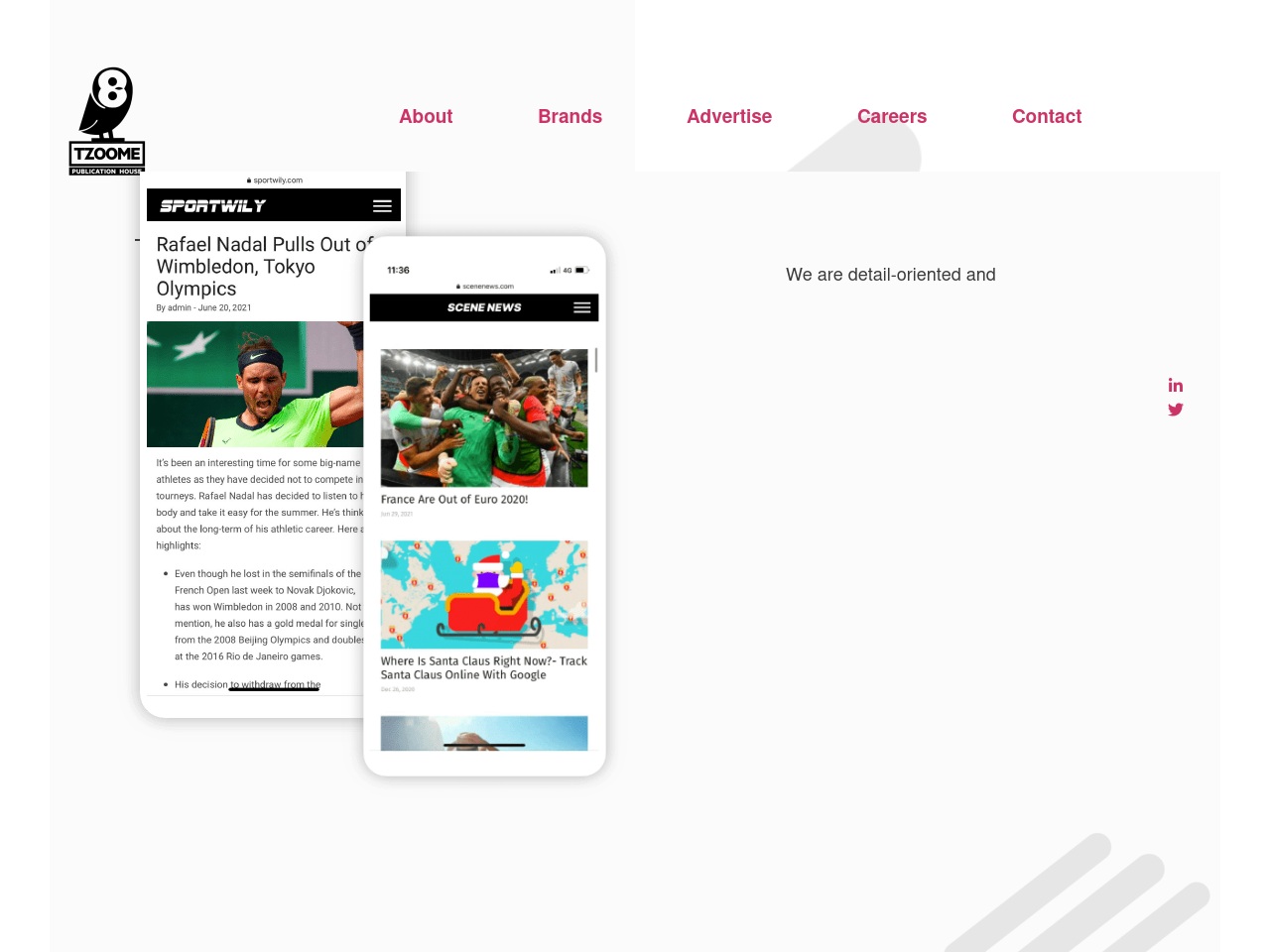tzoomeltd.com screenshot alt-text