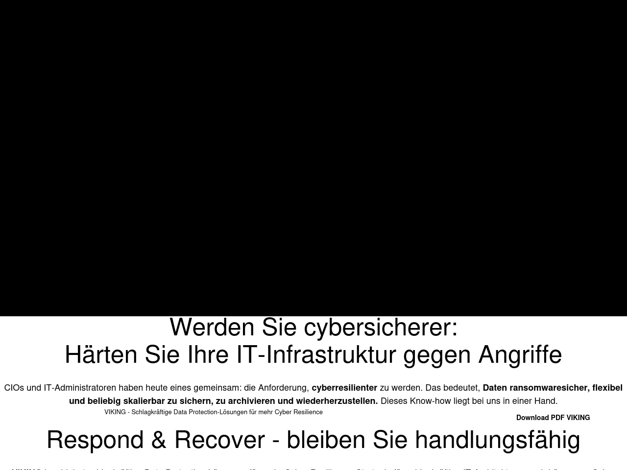 viking-backup.com screenshot alt-text