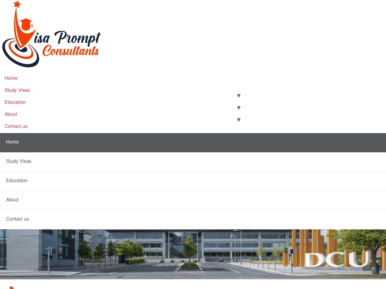 visaprompt.com screenshot alt-text