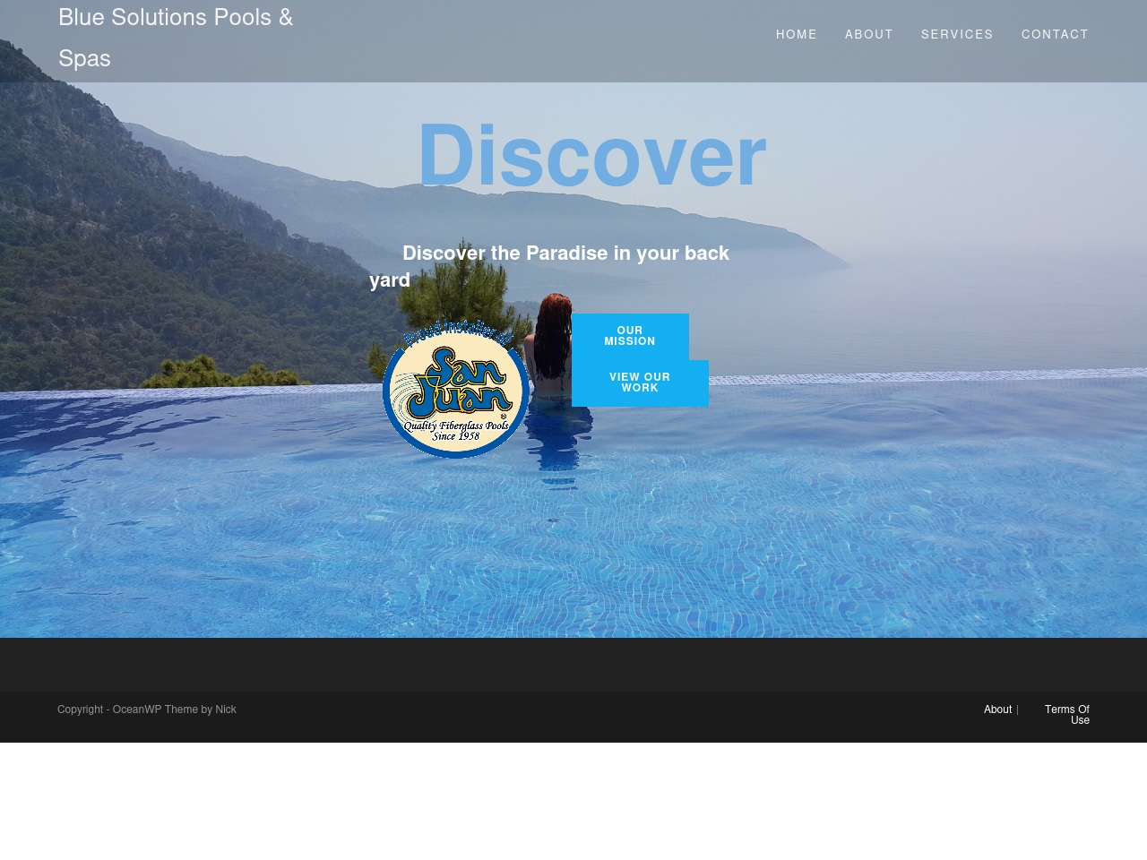 www.bluesolutionsinc.com screenshot alt-text