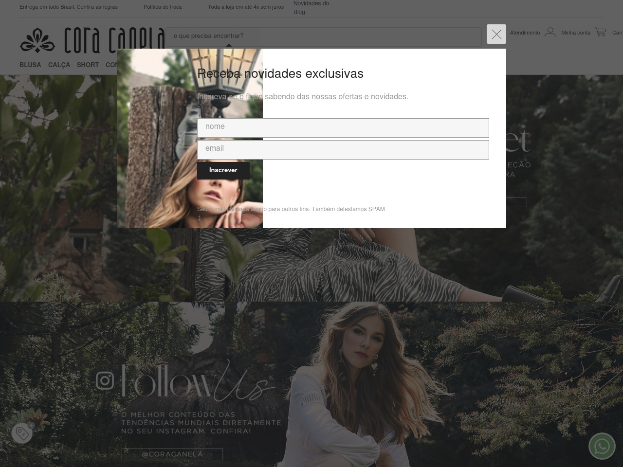 www.coracanela.com.br screenshot alt-text