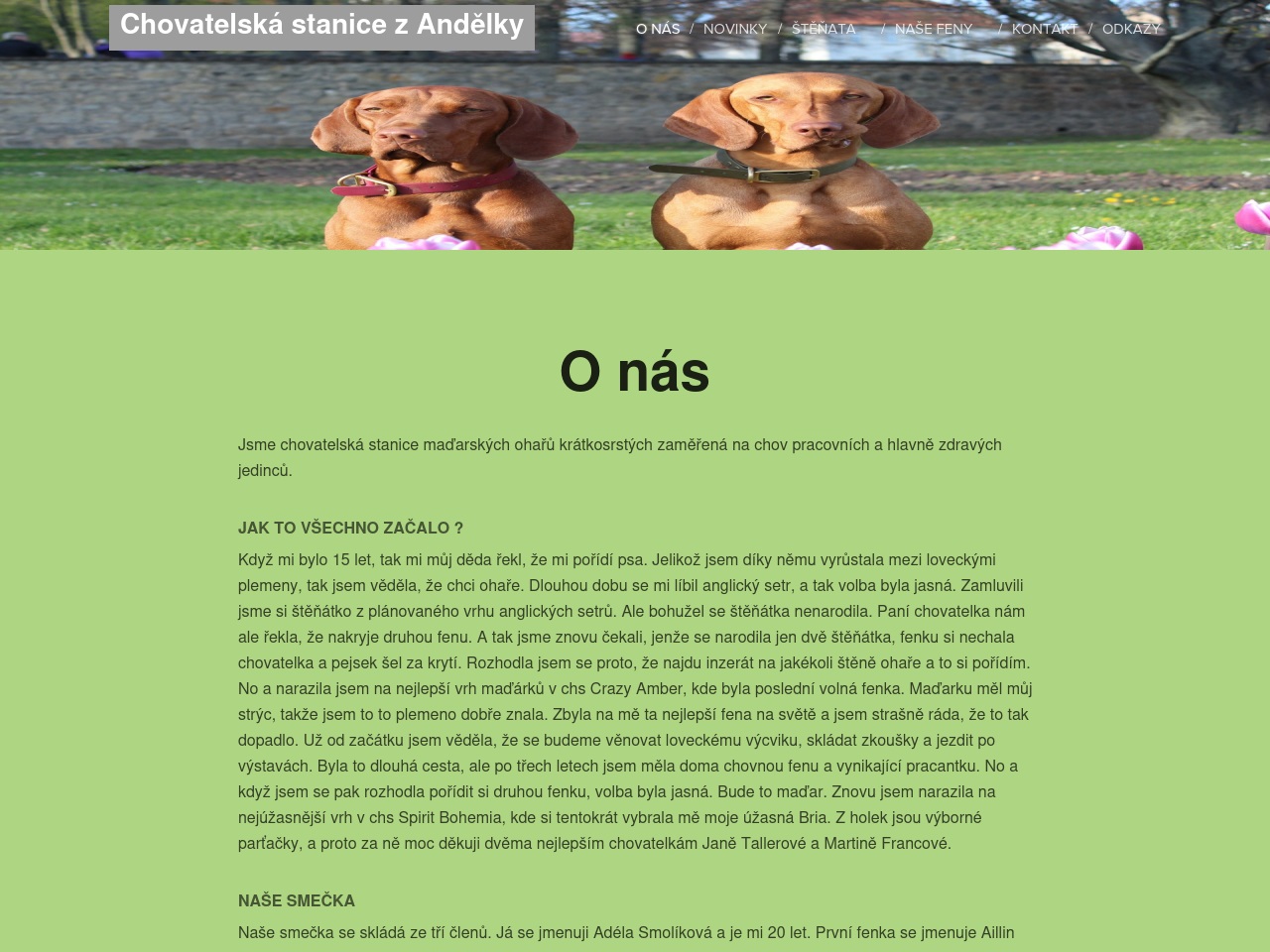 alt-text