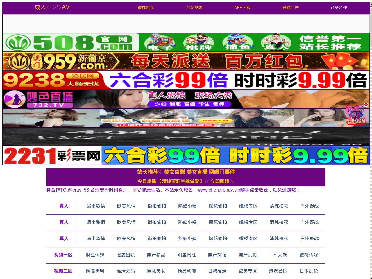 wwwash419.com screenshot alt-text