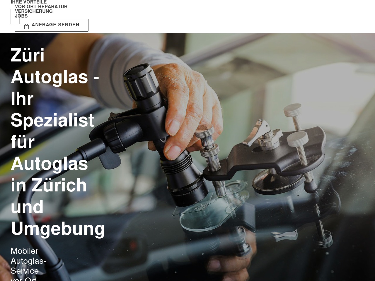 xn--zri-autoglas-dlb.com screenshot alt-text
