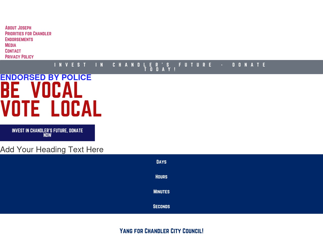 yang.vote screenshot alt-text