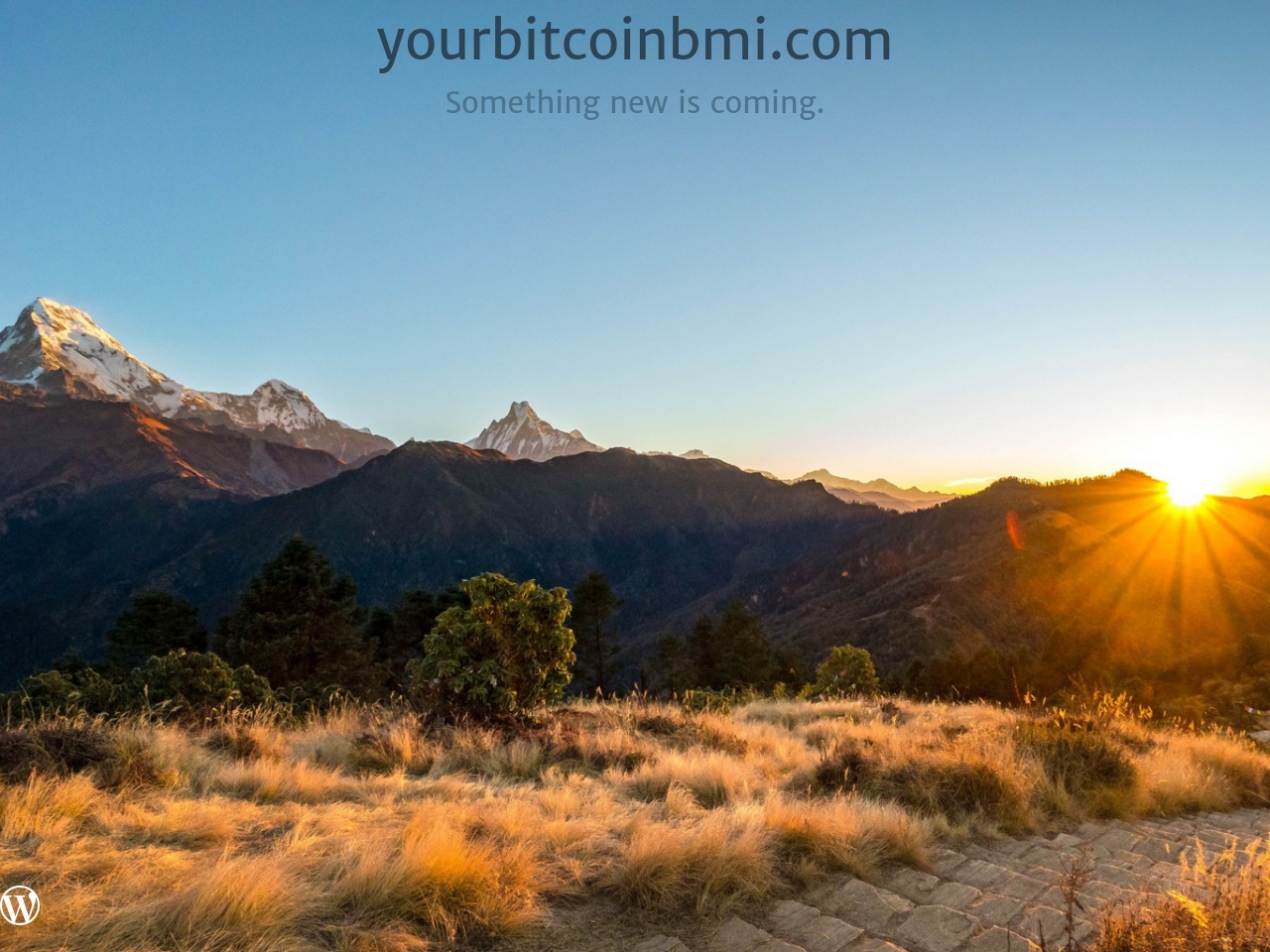 yourbitcoinbmi.com screenshot alt-text
